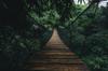 Photomural Suspension Bridge In A Forest Washable Fleece 405x270