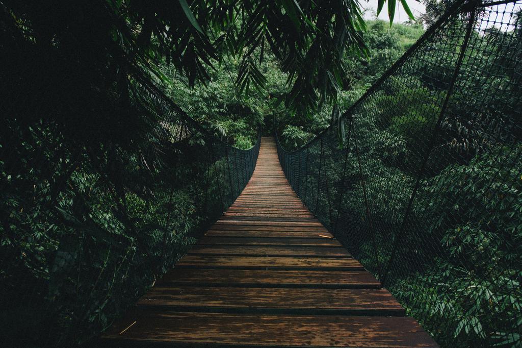 Photomural Suspension Bridge In A Forest Washable Fleece 405x270