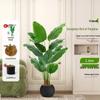 Luxurious Indoor Bionic Bird of Paradise Faux Plant