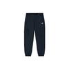IU Jogginghose Herren Marineblau 5TC2U633-NV