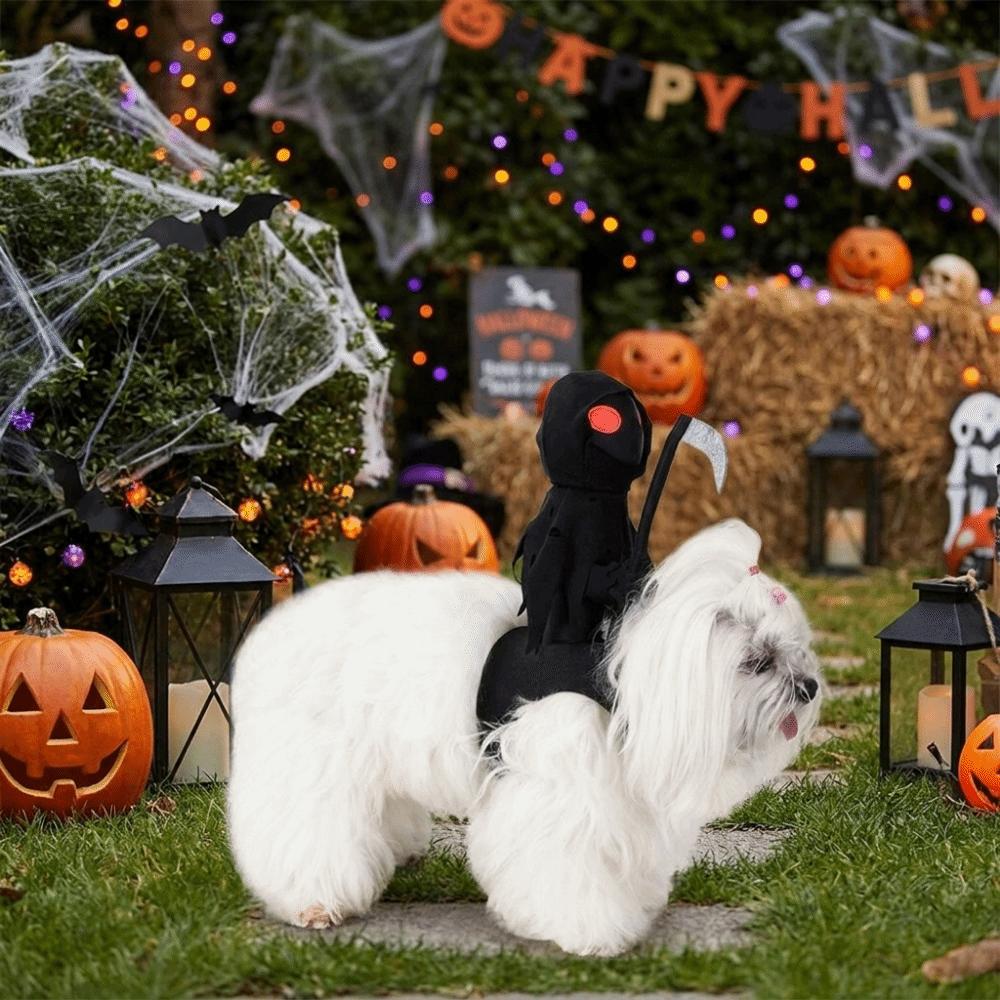 Creative Dog Costume Funny Dog Saddle Costume Anime Cosplay Halloween Pet Costume Festival Outfits