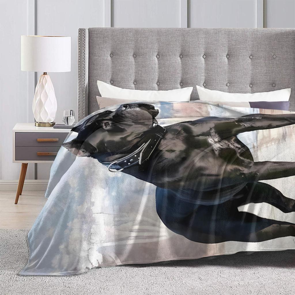 Coperta di Flanella Cane Corso Morbida Calda Plaid per Soggiorno Campeggio Comodo Copriletto Copri Divano Letto