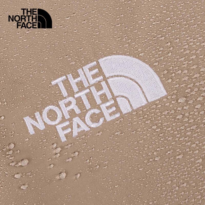 The North Face Men's Lightweight 550-Fill Down Jacket
