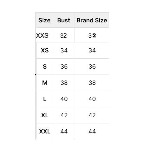 Beautiful Embroidery Designer Silk Blouse Indian Bollywood Party Wear Choli