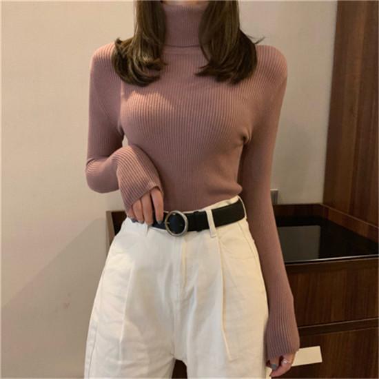 Casual Solid Basic Knitted Blouse Women Elegant Turtleneck Long Sleeve Tunic Auturm Bottoming Pullover Tops  new