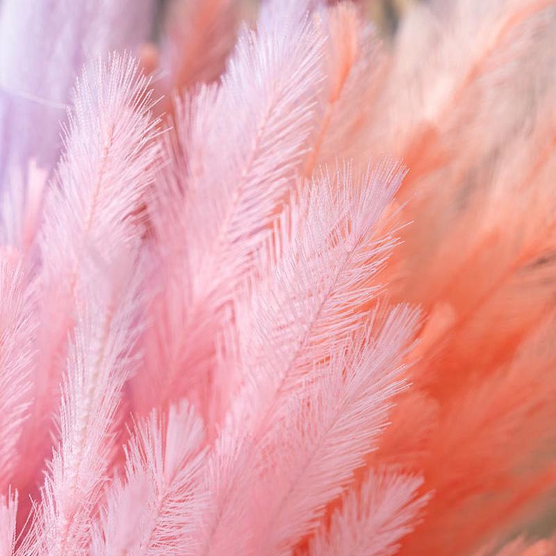 1 STK Flauschige Boho-Deko Kunstpflanze Hochzeitsfeier Pampasgras Künstliches Schilf Lang 77CM