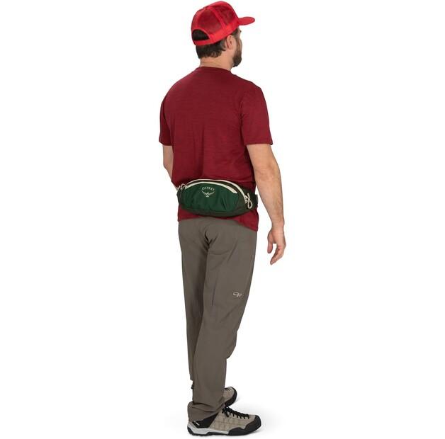 Backpack Osprey Daylite Waist Green Canopy/green Creek