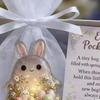 Paashaas Pocket Hug Positieve Pocket Hug Konijn met Wenskaart Emotionele Steun Paasmand Vullers voor Vrienden