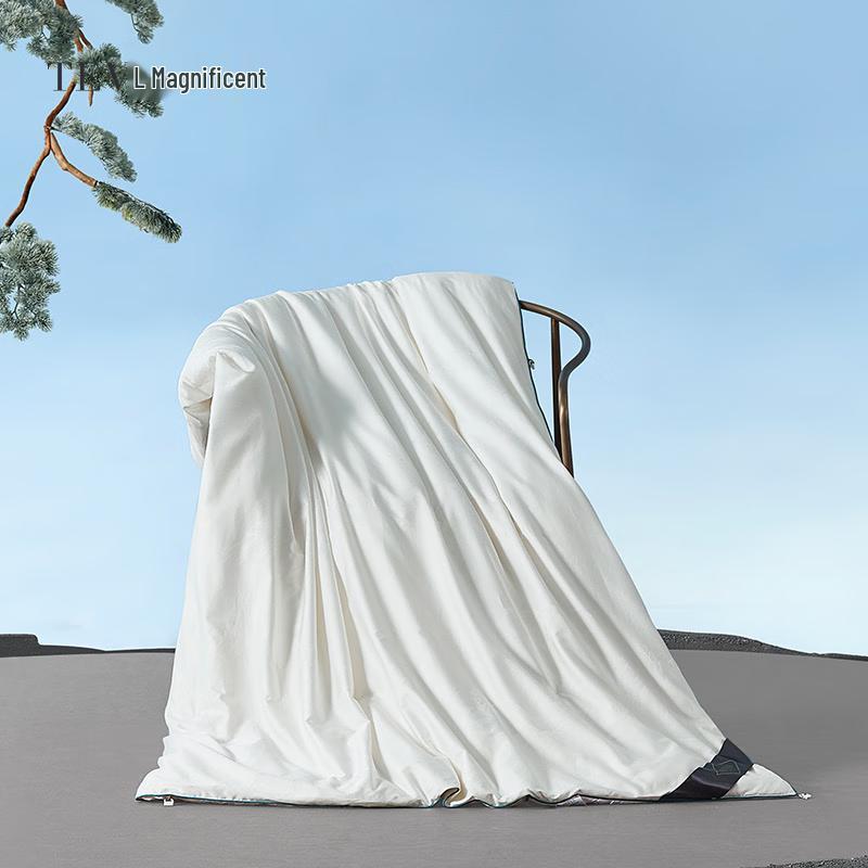 

Tanghuang Ruiya Tussah Silk Summer Duvet