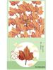 High-Value Maple Leaf Decorative Sticky Notes & Wall Stickers