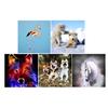 1 Set Painting Kit Lovely Animal Picture for Colorful Dog, cm