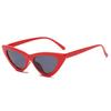 FASHION Sexy Cat Eye Sunglasses Triangle LADIES Small Size Modern Retro Designer Women Sun Glasses Shades for Lady