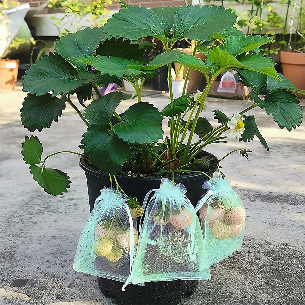 100pcs Fruit Protection Bags with Drawstring for Protecting Fruit and Vegetables