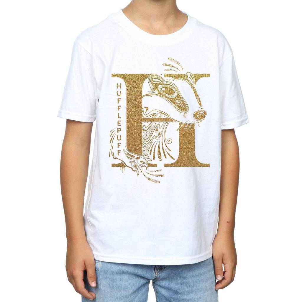 HARRY POTTER Boys Hufflepuff Glitter T-Shirt
