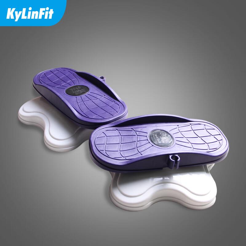 

Large Double Bearing Fitness Waist Twister Disc