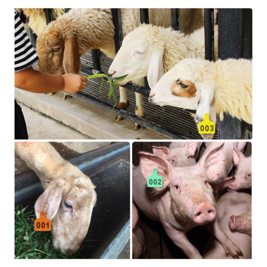 Cattle Ear Tags 001 to 100 Number Plastic Livestock Animal Tag Ear Tag Applicator Kit for Cows Goats Sheep Pigs