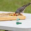 16Pcs Bird Drinking Cup Set 60Ml Automatic Water Feeder Spillproof Design for Parrot Cage Small Bird Container