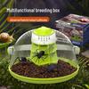 Nomo Educational Silkworm & Snail Habitat Kit with Rearing Box and Winnowing Basket