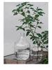 Large Transparent Japanese Andromeda Glass Vase - Thin-Neck, Big-Belly Design for Living Room Decor
