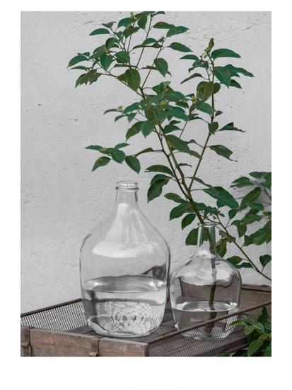 Large Transparent Japanese Andromeda Glass Vase - Thin-Neck, Big-Belly Design for Living Room Decor