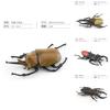 Insect Animal Model Pvc Collection For Educational Display And Collection Enthusiasts