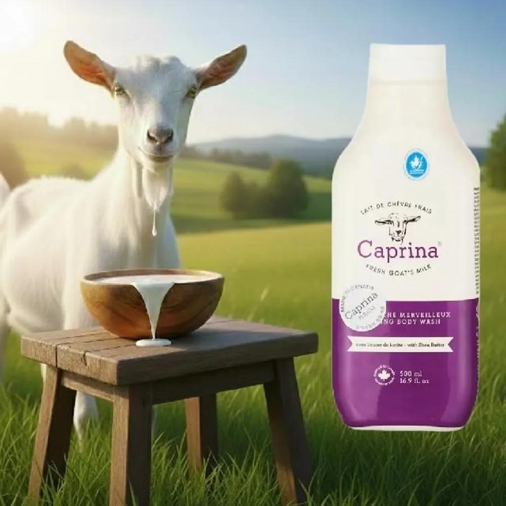 Caprina Canadian Goat Milk Mousse Foaming Body Wash Gentle for the Whole Family Highly Moisturizing 500ml (2 Pieces)