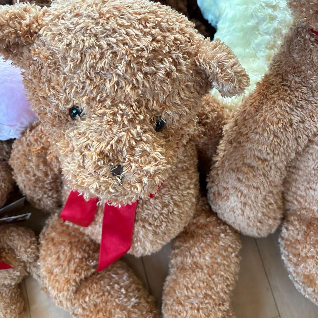 [USED] Teddy bear, Lovely bear, Rose bear, Teddy bear
