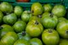 SAFLAX Organic - Tomato - Green Zebra - 10 Seeds - Solanum Lycopersicum