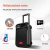 Aigo Tragbarer Outdoor Bluetooth Karaoke-Rollwagenlautsprecher CN-Stecker (Adapter enthalten) (CN-Version)