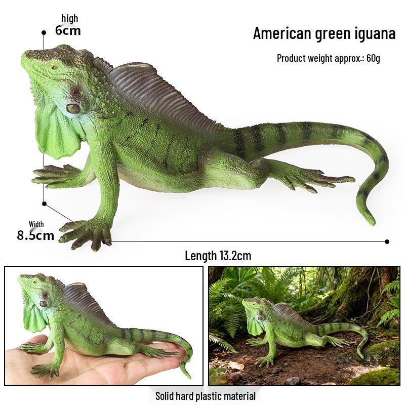 Children s Cognitive Reptile Toy Set: Komodo, Iguana, Chameleon