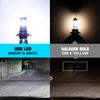 2 Stück H7 LED Scheinwerfer Canbus Birnen Mini Kabellos 36000LM 80W 6500K CSP für Autoscheinwerfer Auto Turbo Lampen LED Automobil Plug&Play Licht 12V