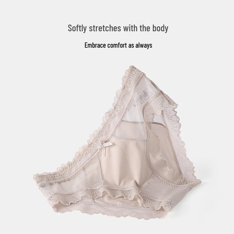 Christies Women's Sexy Lace Low-Rise Briefs 3-Pack