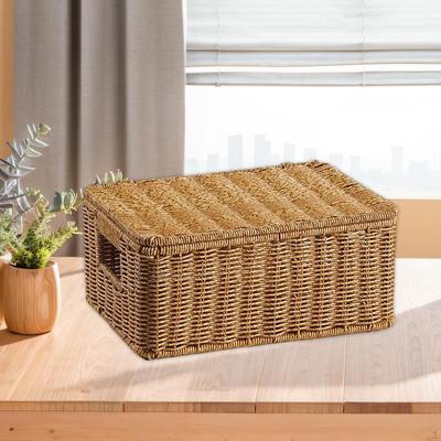 Storage Basket with Lid Organizer Gifts Multipurpose Rectangular Bin Sturdy for Desk
