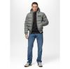 PITBULL DILLON Winter Jacket