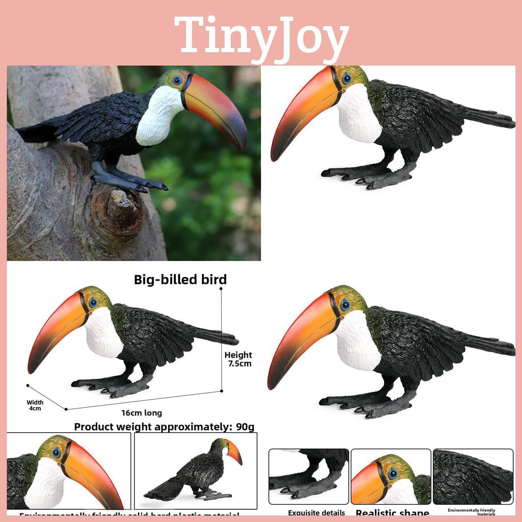 Wild Animal Big Billed Bird Ramphastos Toco Model For Childrens Room Decor And Learning