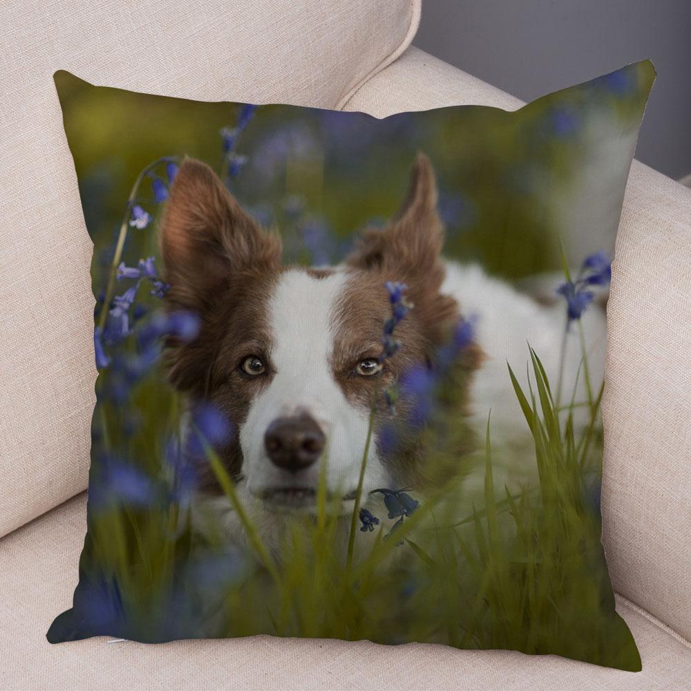 Cute Pet Animal Dog Print Pillowcase Scottish Border Collie Cushion Cover  Sofa Car Decoration