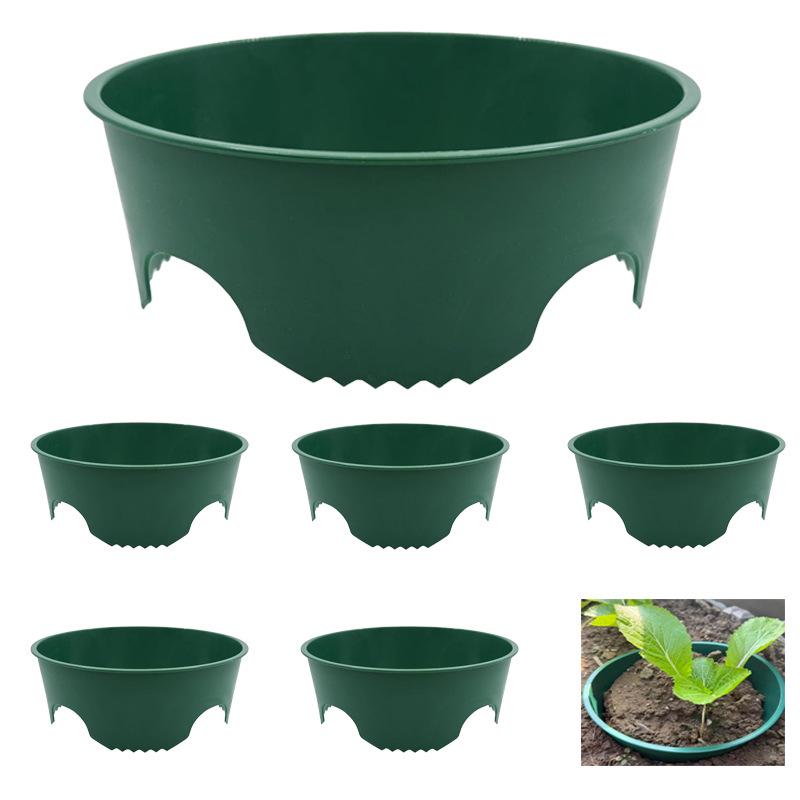Garden Plant Protection Growth Rings