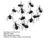12 Pcs Ant Fruit Fake Ants Snacks Dessert Picks Toothpicks Reusable Dessert Forks Black Animal Appetizer