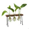 Flower Vase Glass Wooden Frame Transparent Display Flowers Plant Terrarium Modern for