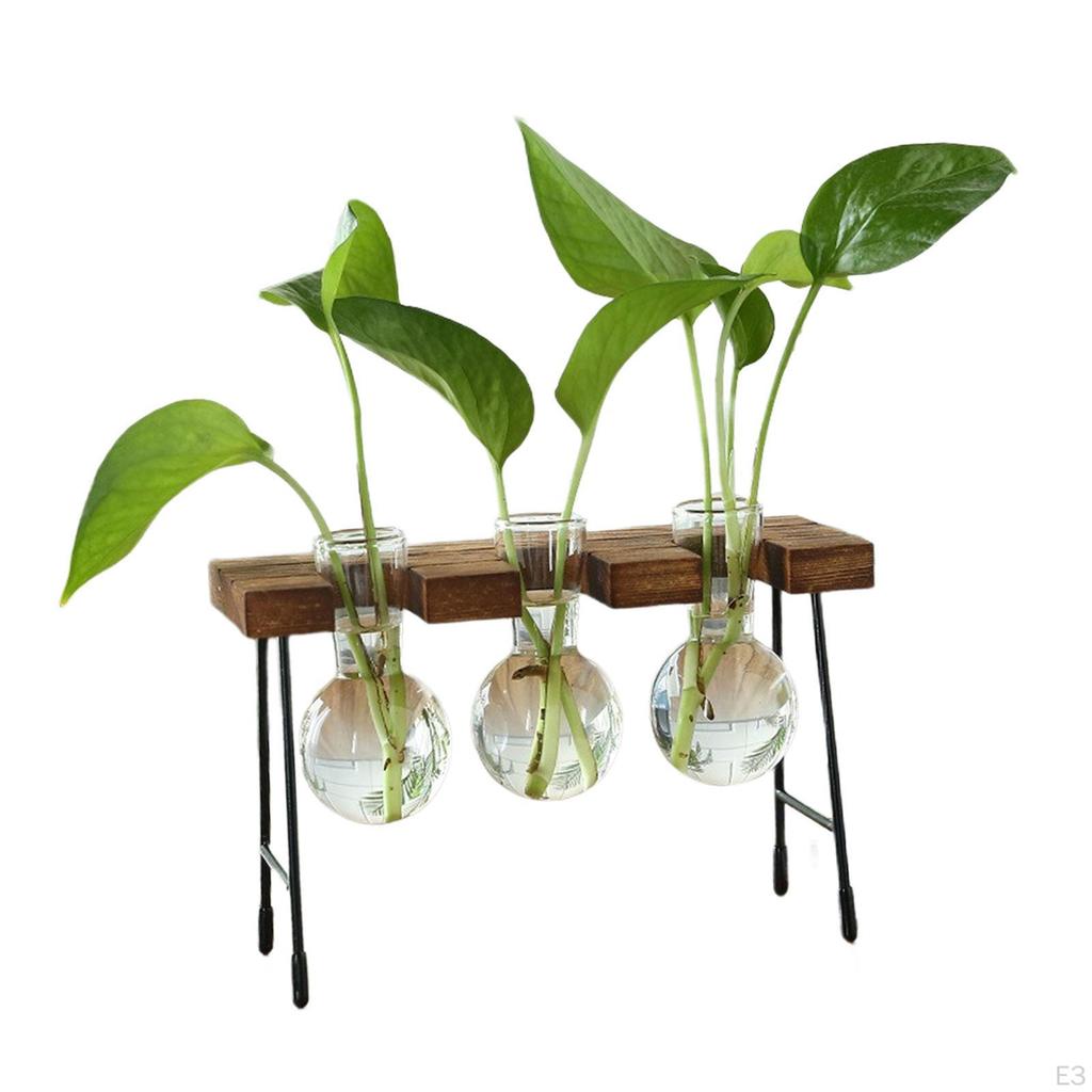 Flower Vase Glass Wooden Frame Transparent Display Flowers Plant Terrarium Modern for