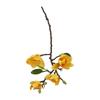 New Artificial Flower Magnolia Orchid Flower Branches For Wedding Decorative Magnolia Denudata Simulation Real Touch