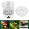 Reptile Fogger Quite Compact     Bat   Reptile Fogger Terrariums Humidifier