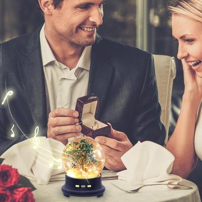 Audio en video – Draagbare luidsprekers en Bluetooth speakers