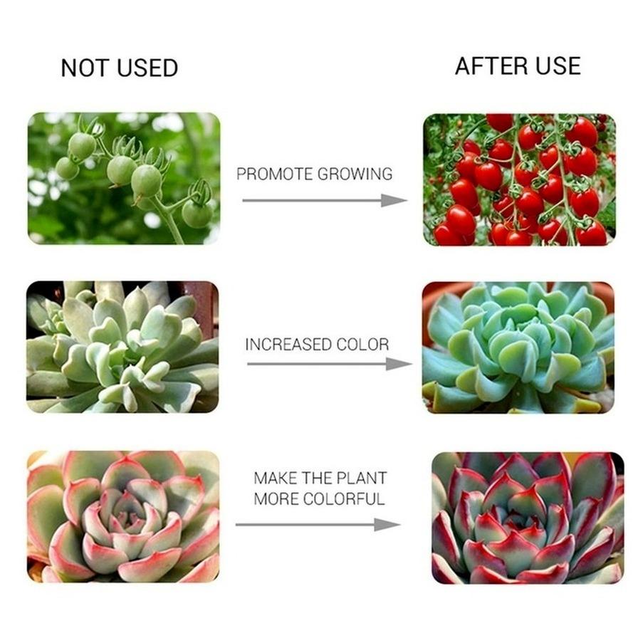 LED Grow COB Chip Phyto Lamp Full Spectrum AC220V/110V 50W 30W 20W For Indoor Plant Seedling Grow and Flower Growth Lighting