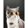 Pet Sunglasses + Anti-Slip Strap Set, Fashionable & Creative Pet Accessories, Multi-Color Universal Pet Glasses, Pet Holiday & Birthday Costume