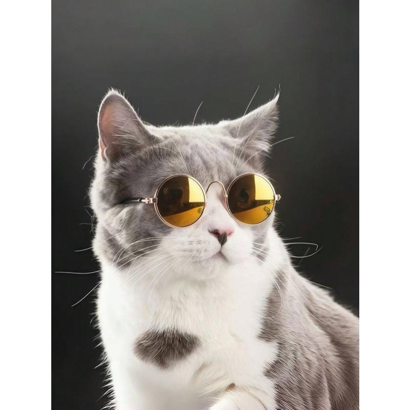 Pet Sunglasses + Anti-Slip Strap Set, Fashionable & Creative Pet Accessories, Multi-Color Universal Pet Glasses, Pet Holiday & Birthday Costume