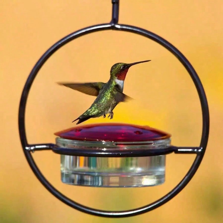 Hummingbird Feeders For Outdoors Hanging, Bird Feeding Station, Decorative Bird Feeder, Nopower Needed Feeder, Durable Bird Feeder