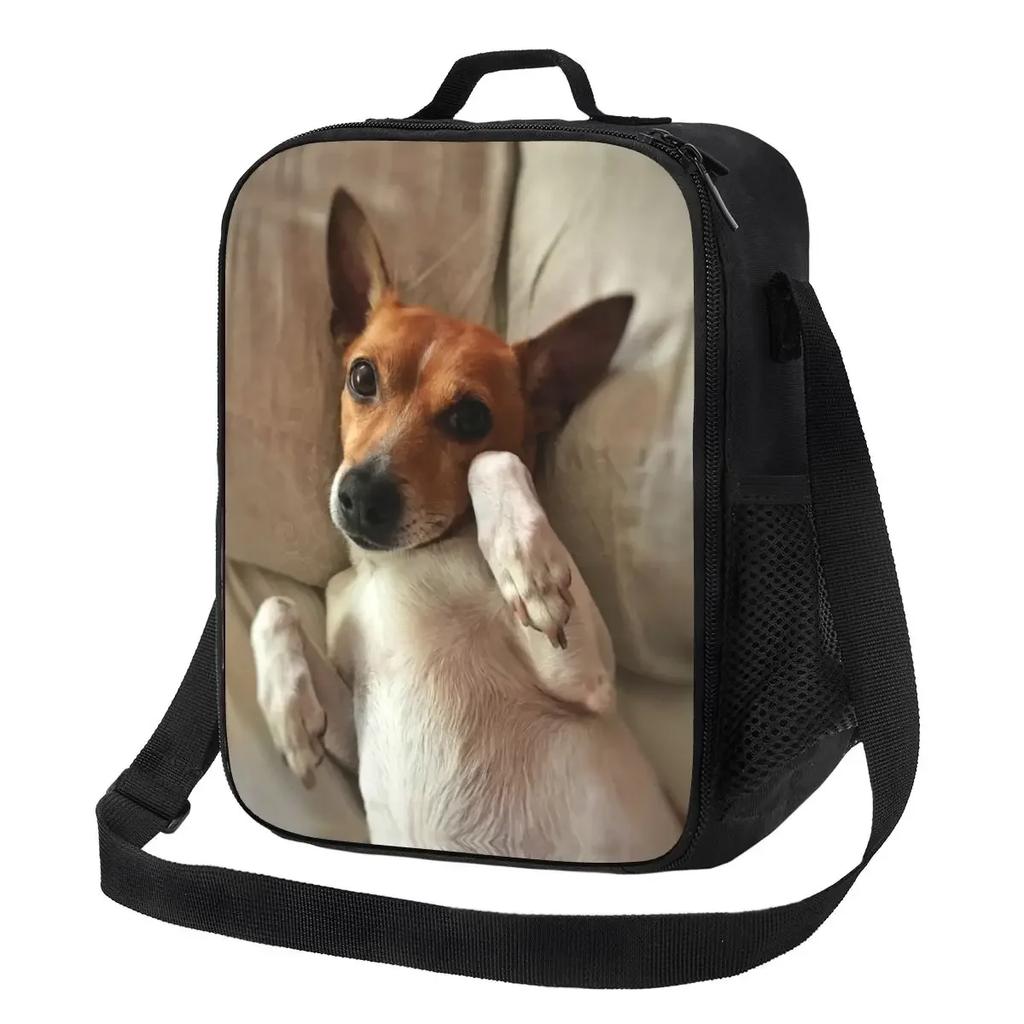 Jack Russell Terrier Dog With Pencil Portable Lunch Box Leakproof Animal Thermal Cooler Food Insulated Lunch Bag School Student