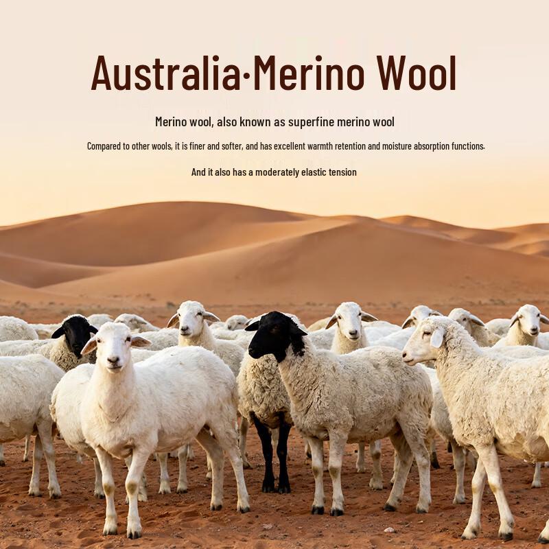 SEPTWOLVES Men's 100% Merino Wool Round Neck Sweater