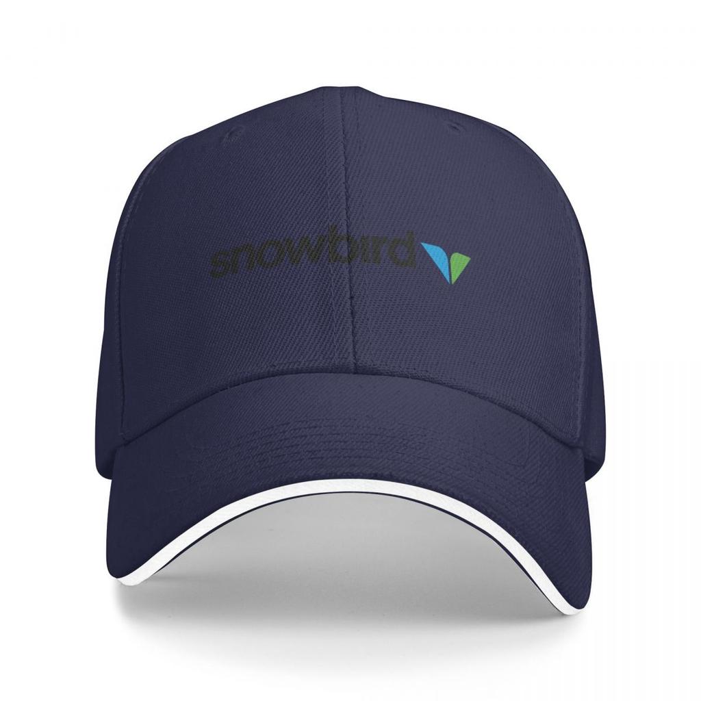 Snowbird Resort Utah Baseballová čepice Rugbyové mikiny s kapucí Pro muže Ženy